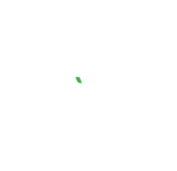 Logo Ecovadis Silver